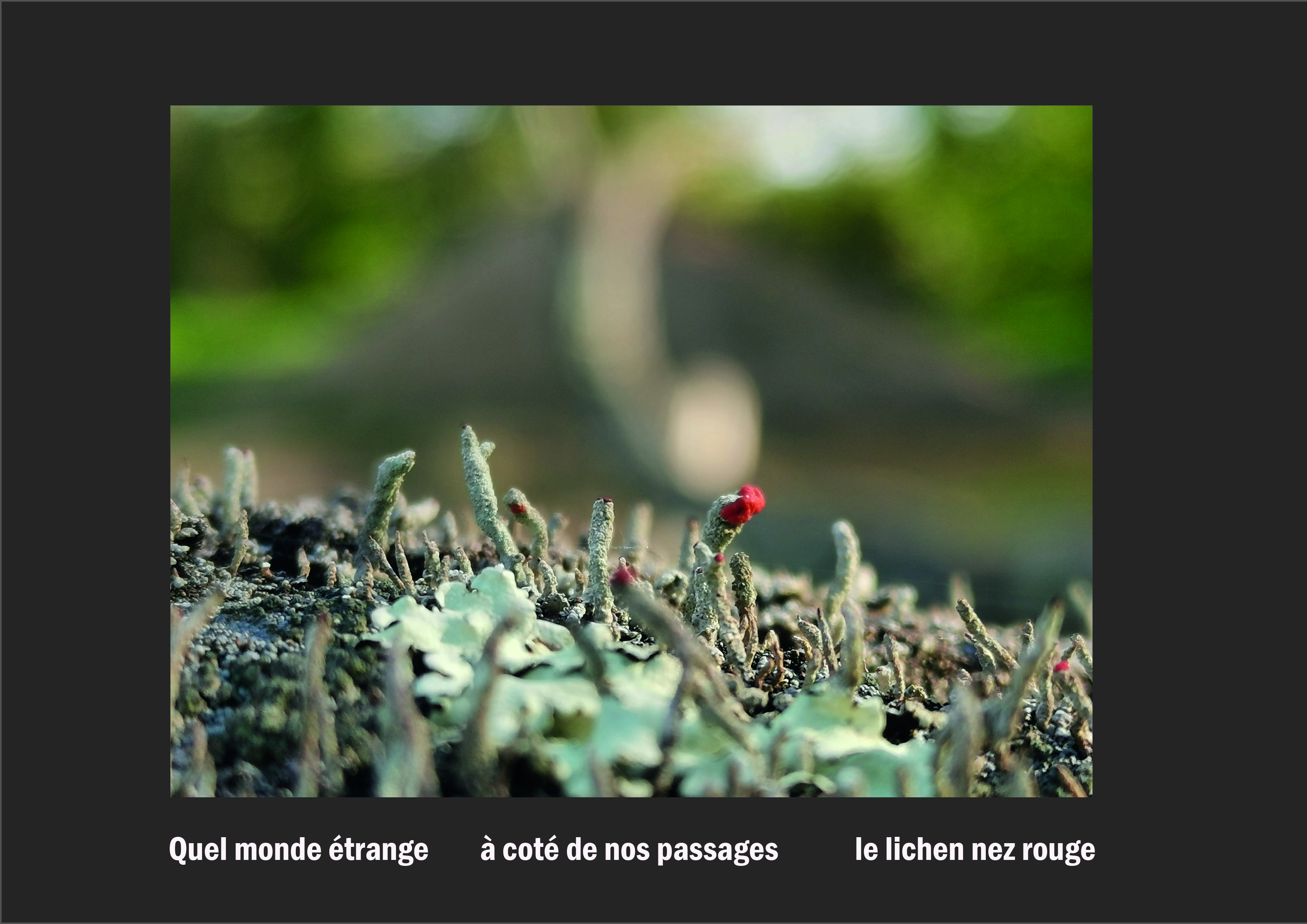 Cent vues du mont hitachi 2 web site88