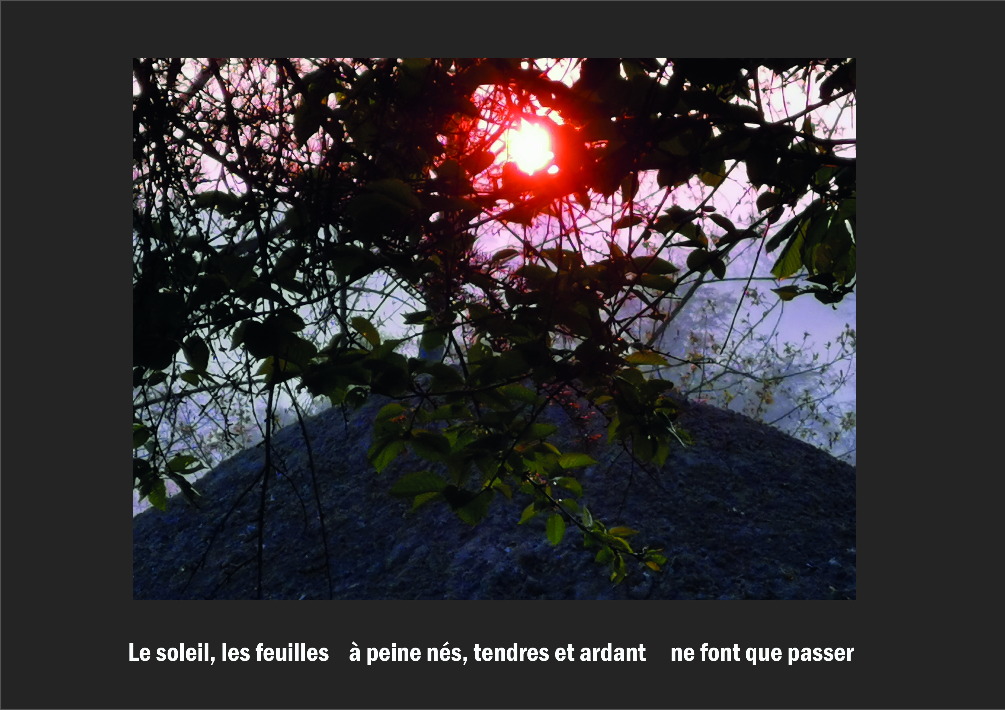 Cent vues du mont hitachi 2 web site86