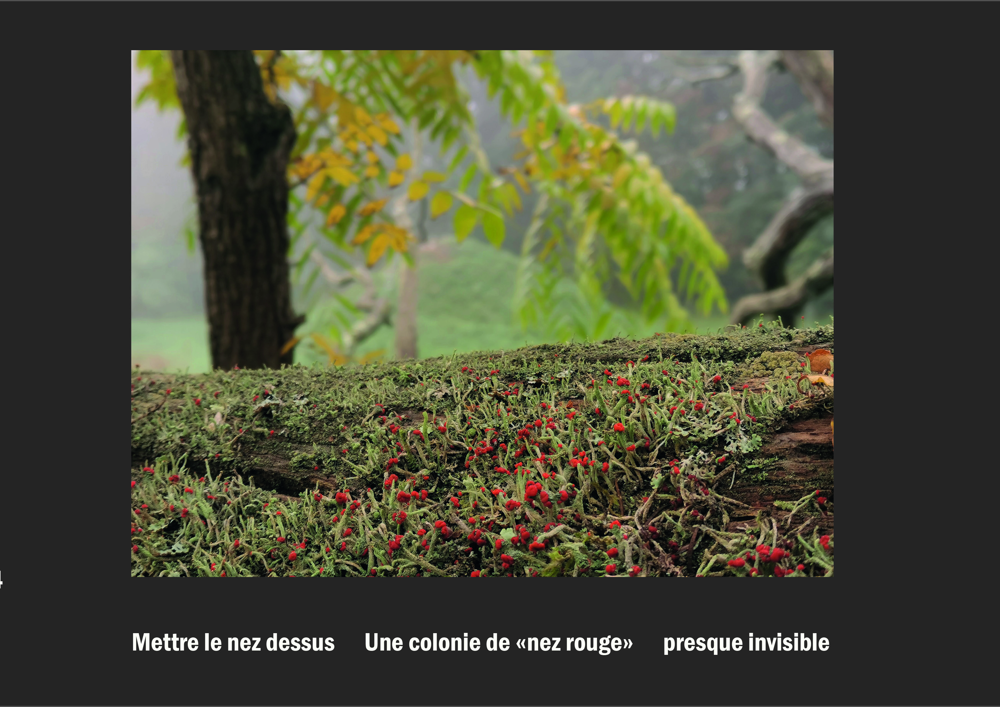 Cent vues du mont hitachi 2 web site111