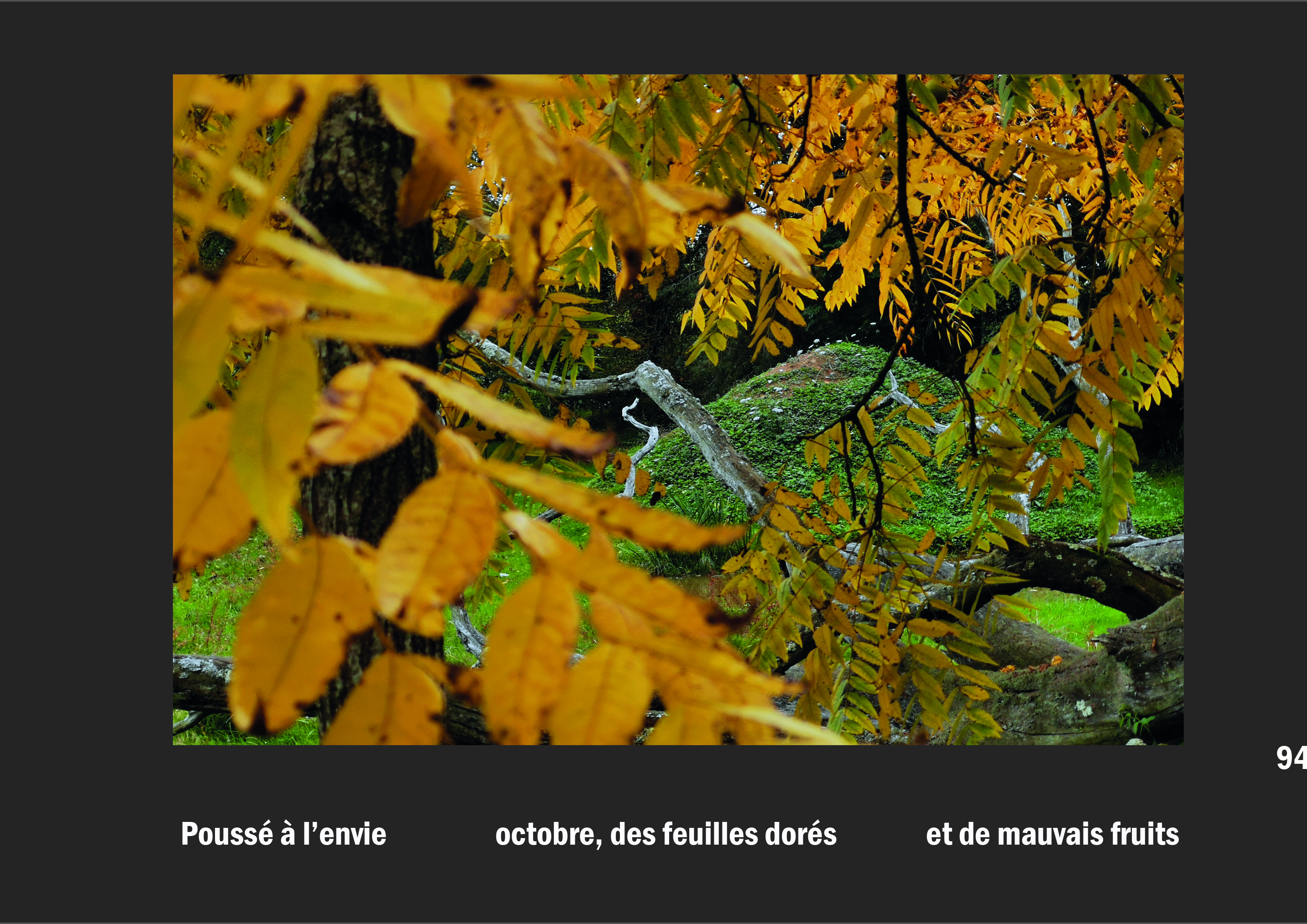 Cent vues du mont hitachi 2 web site110