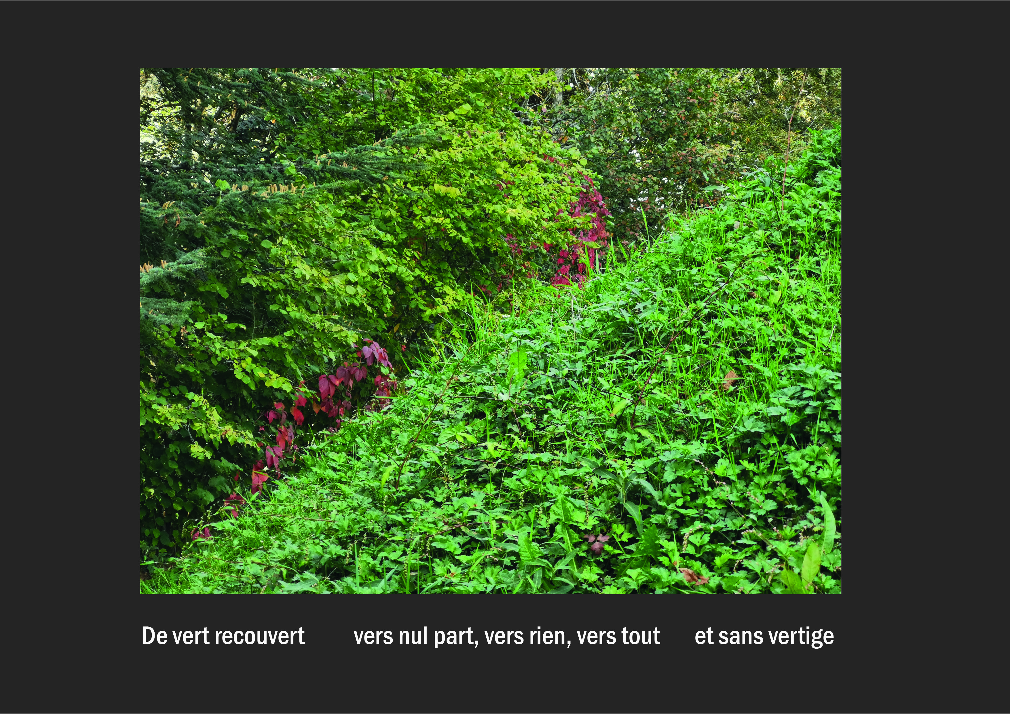 Cent vues du mont hitachi 2 web site109