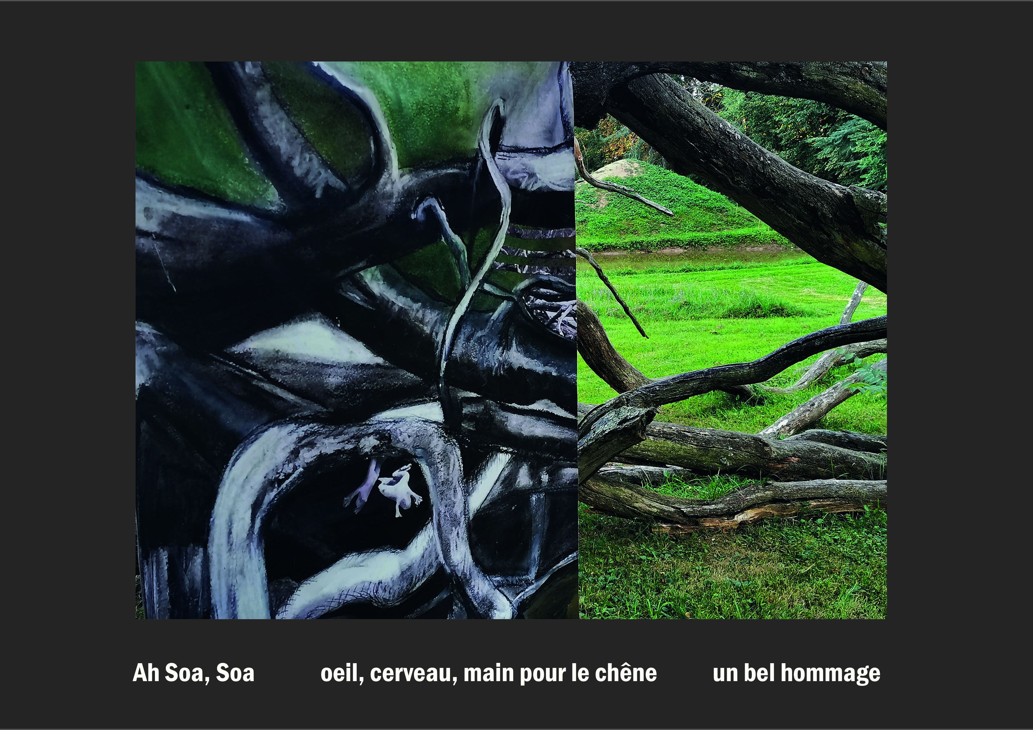 Cent vues du mont hitachi 2 web site106