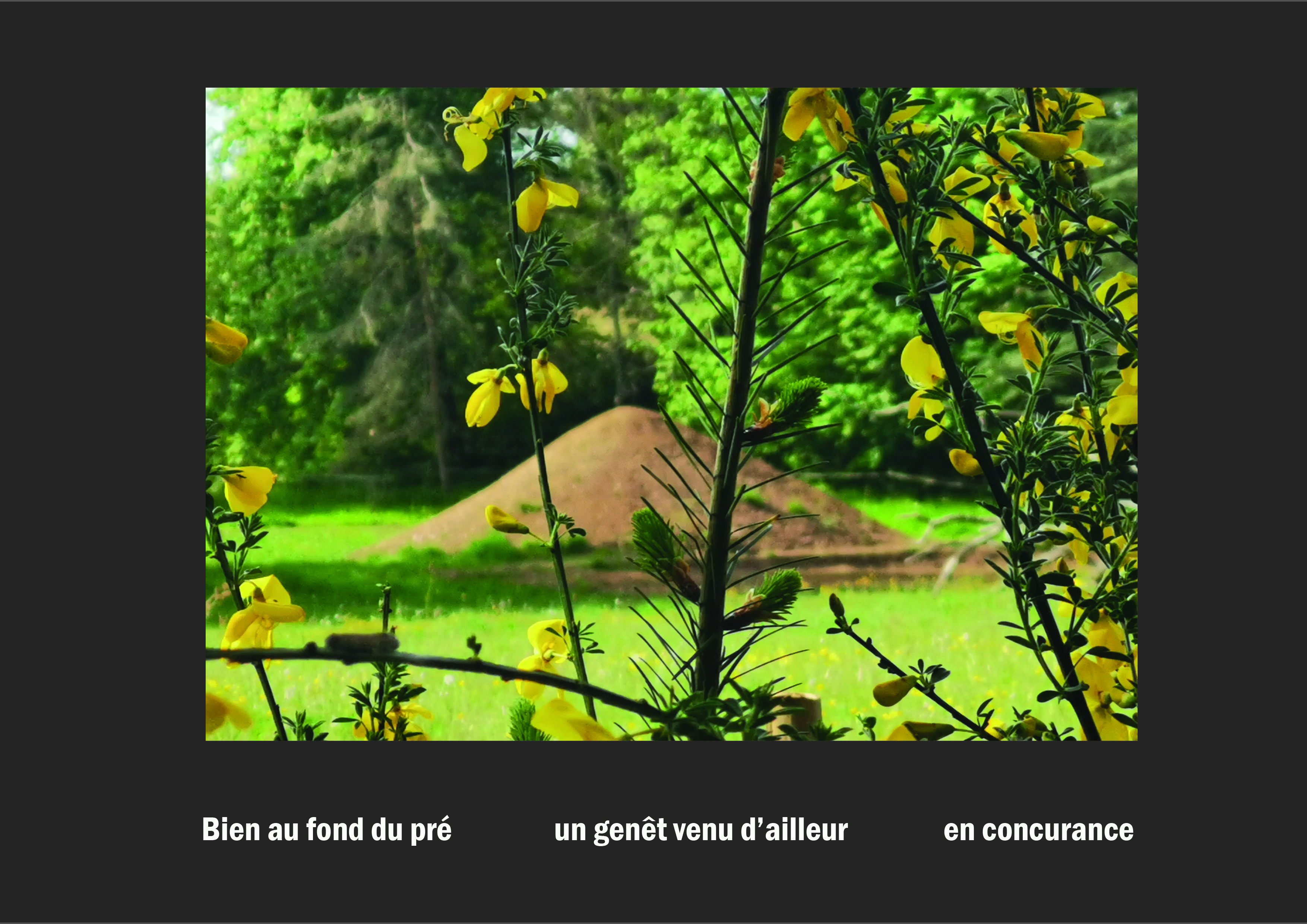 Cent vues du mont hitachi 2 web site101