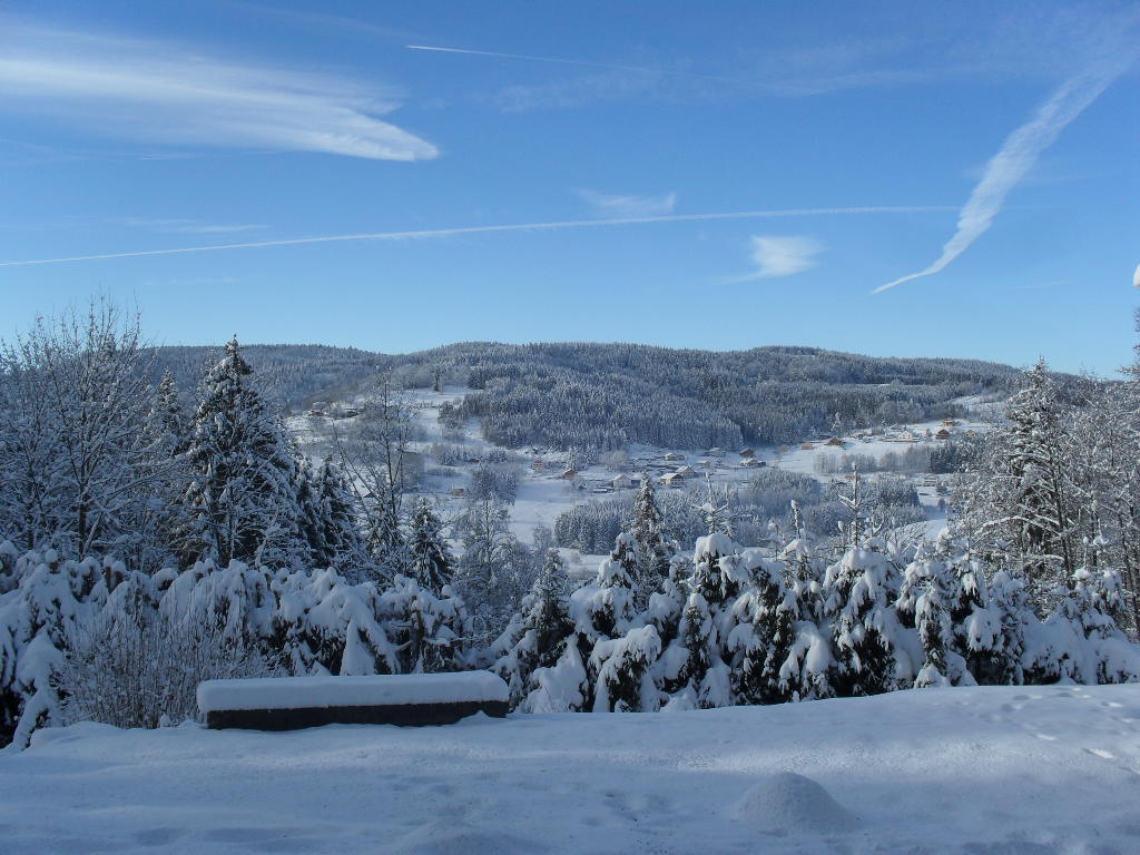 Saint nicolas 2010 320 copie