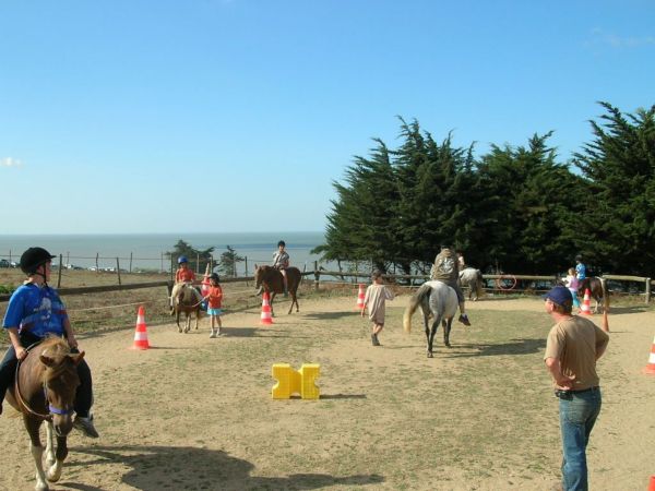 Equit action le cheval pour tous 135