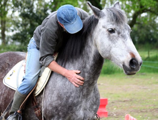Murmure a l oreille d un cheval 145