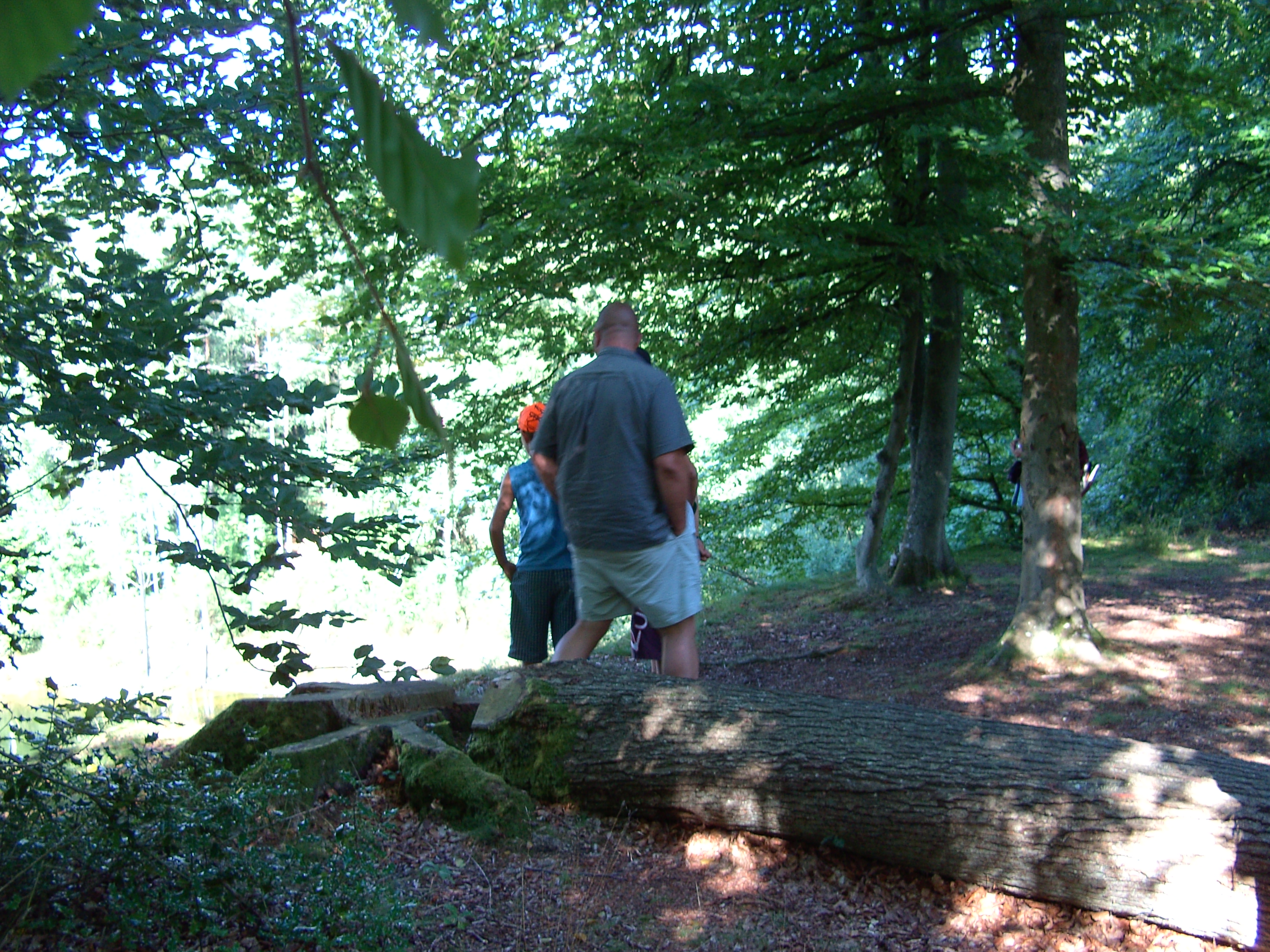 BILD0586