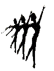 Image2