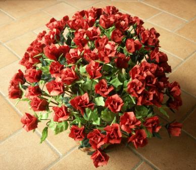 100rosesrouge