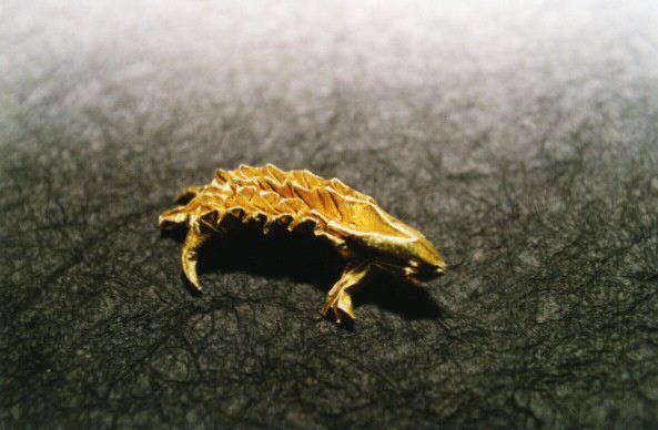 Iguane