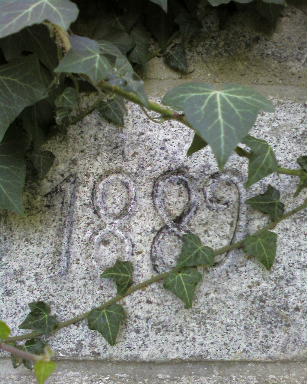 Photo0021