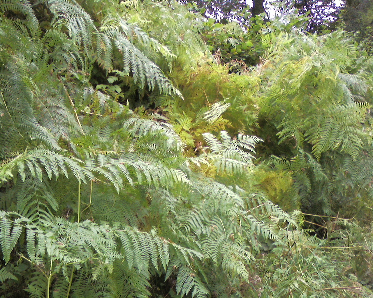 Photo0167