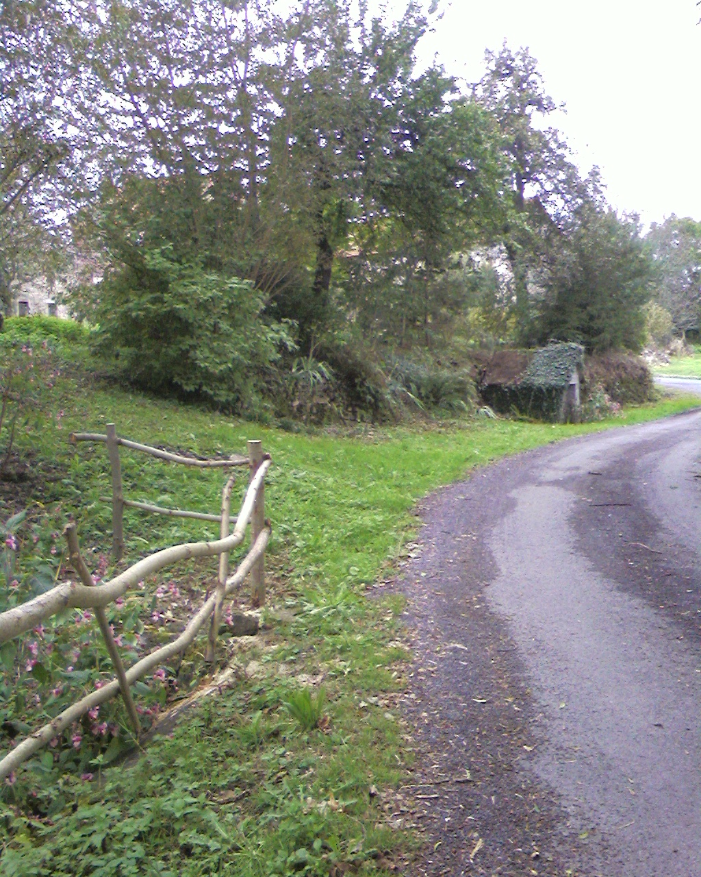 Photo0182