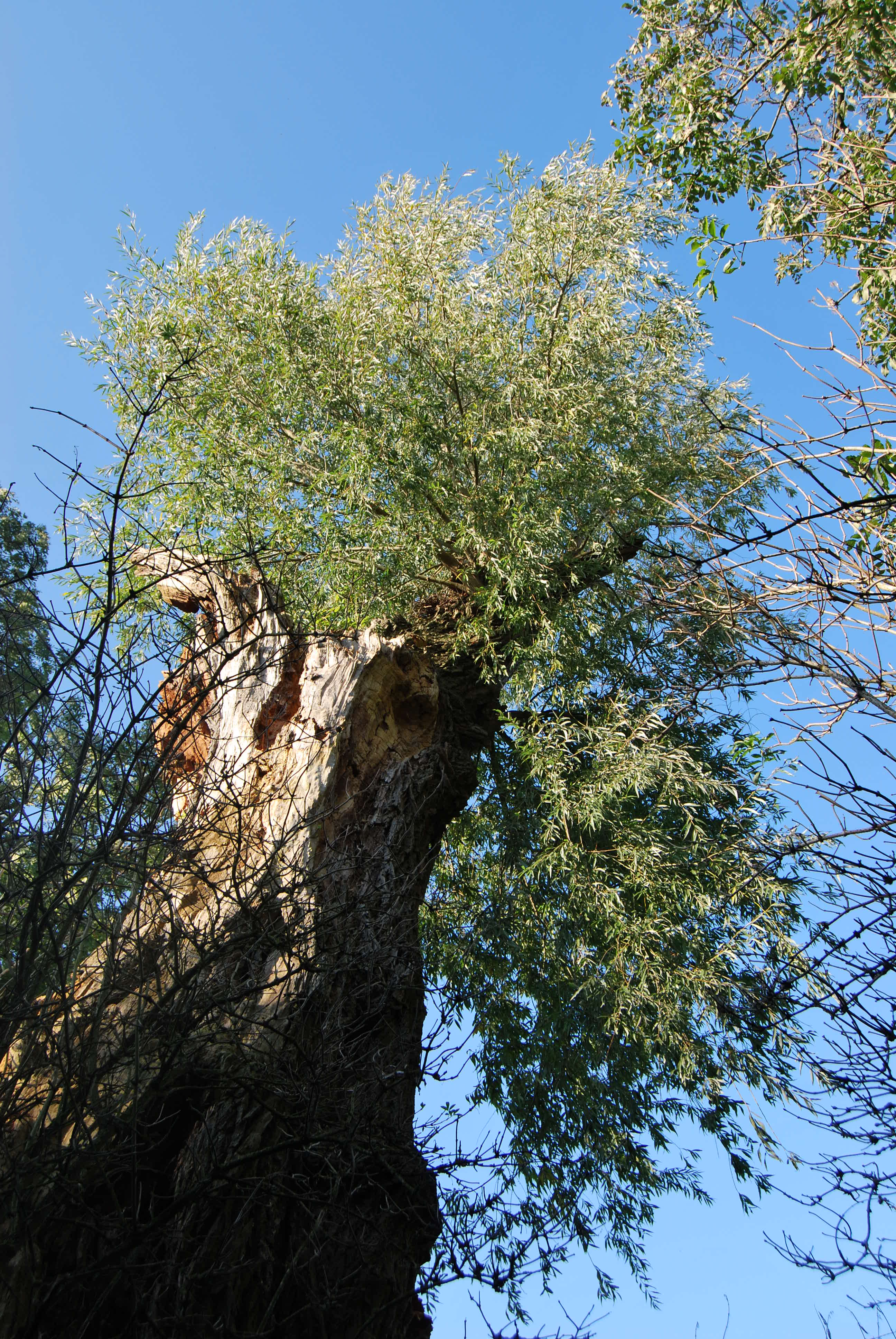 2011 10 22 Maulde 60 