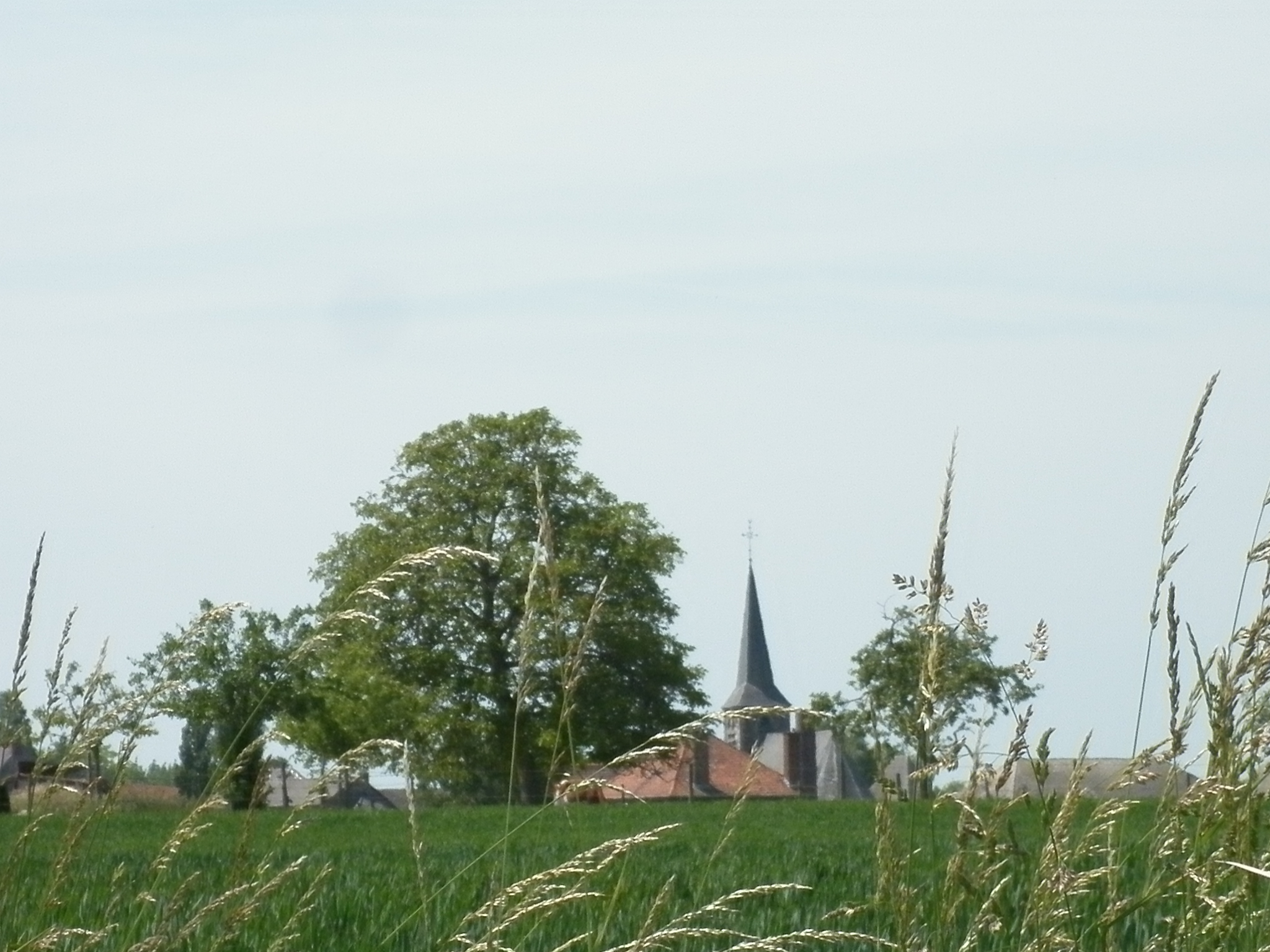 2011 05 23 maulde 209 