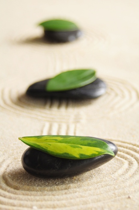 Zen life