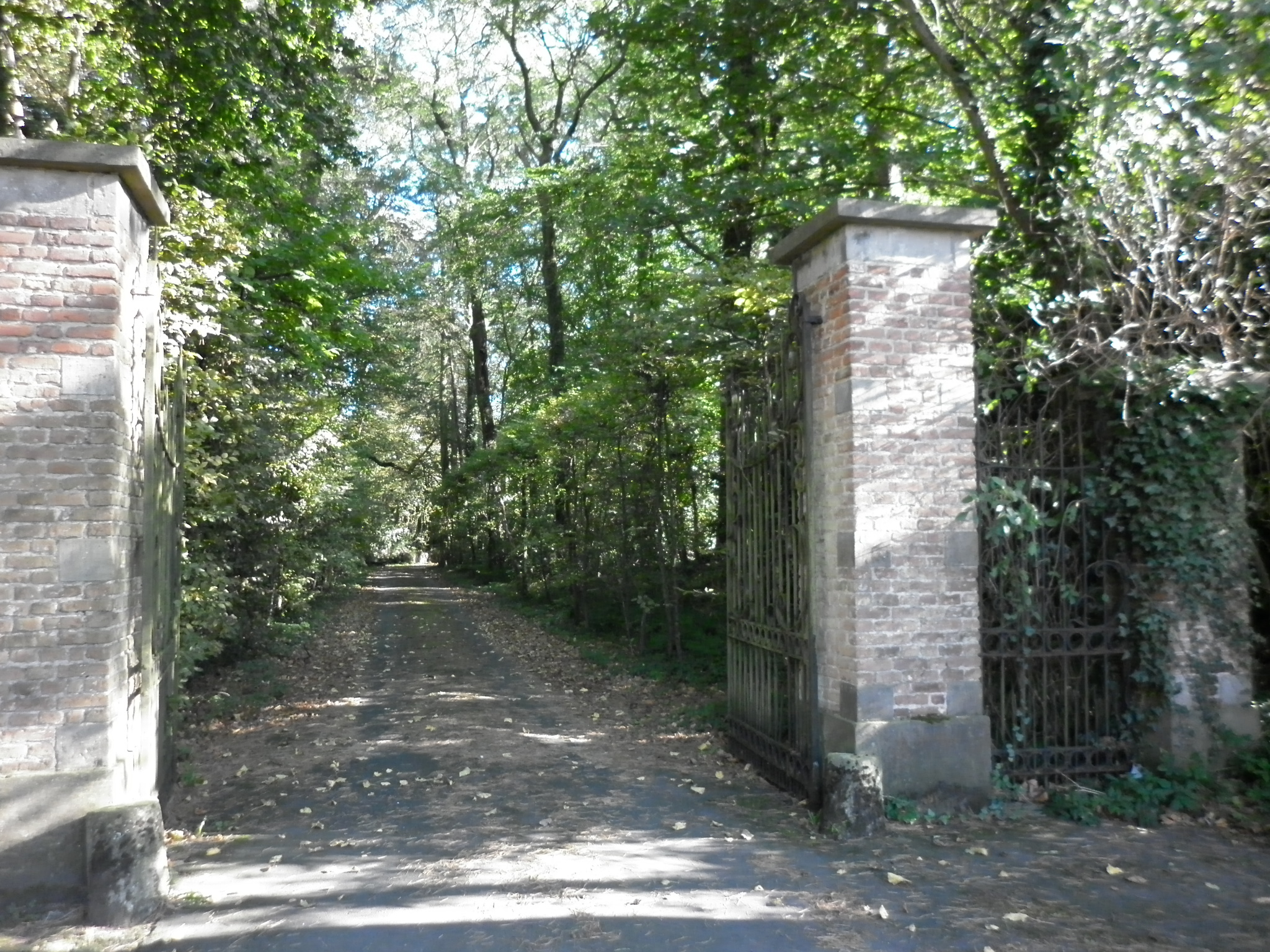 2011 10 15 Chateau Froidmenteau 79 