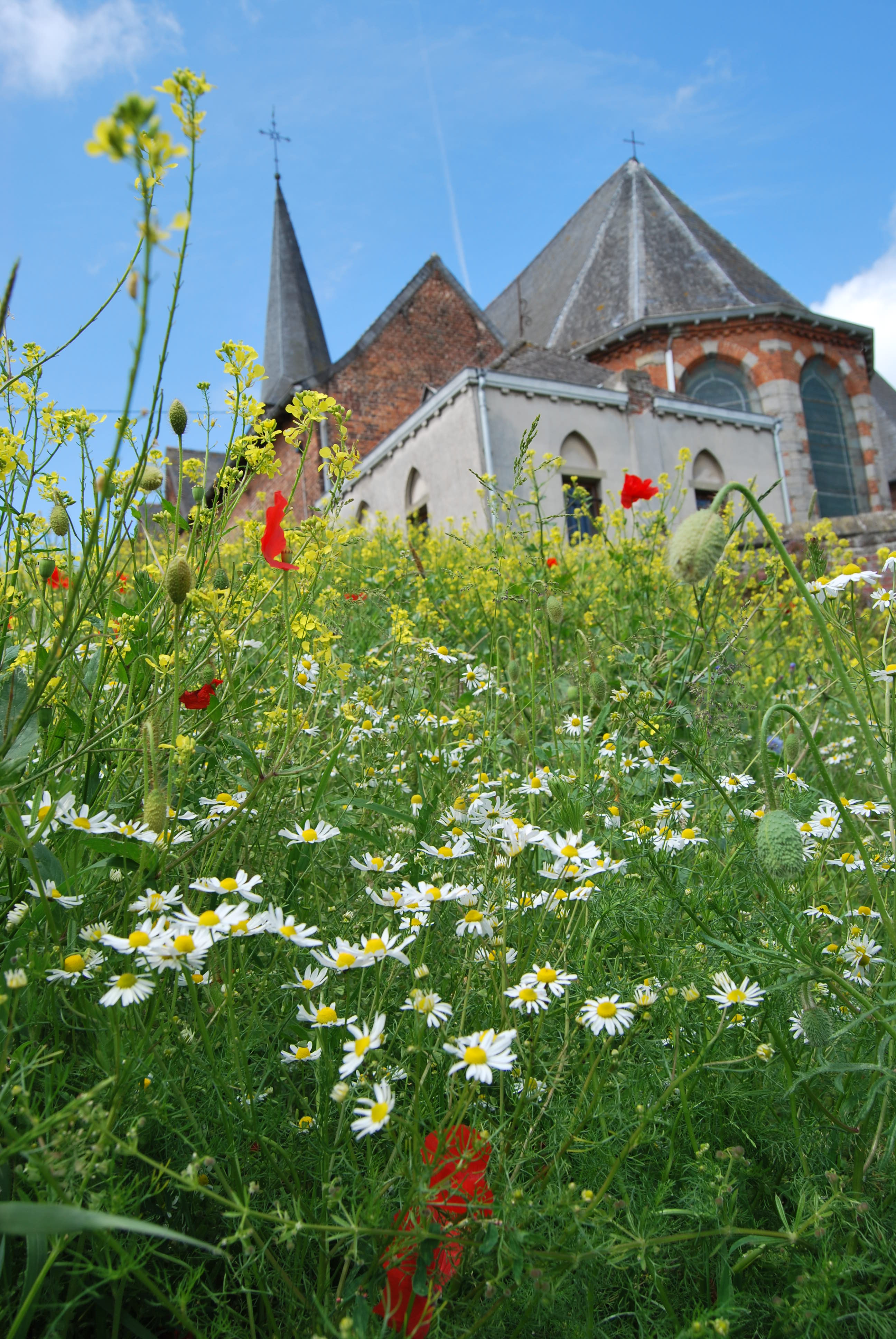 2011 05 28 eglise st thomas 43 