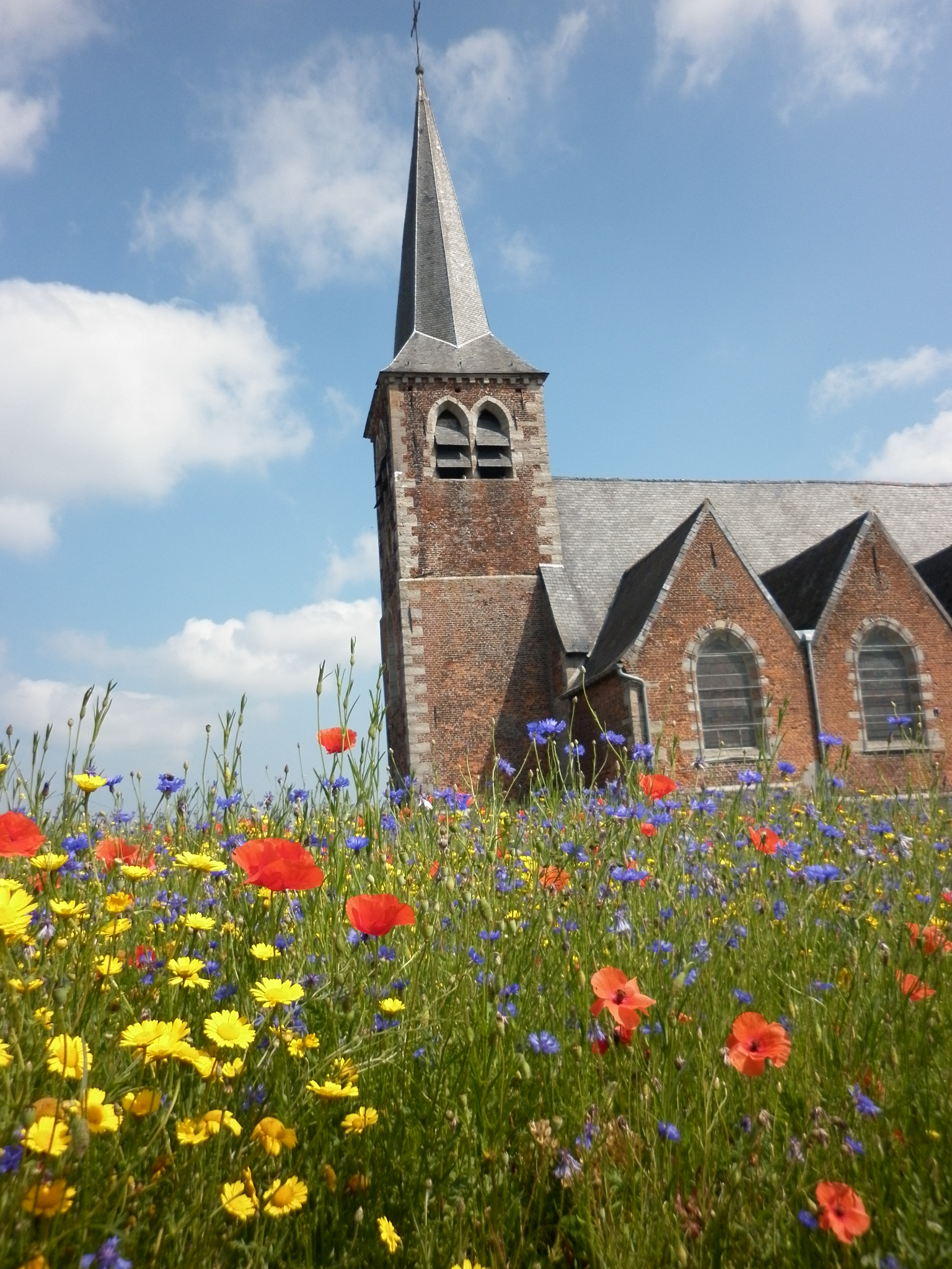 2011 06 29 maulde eglise 10 