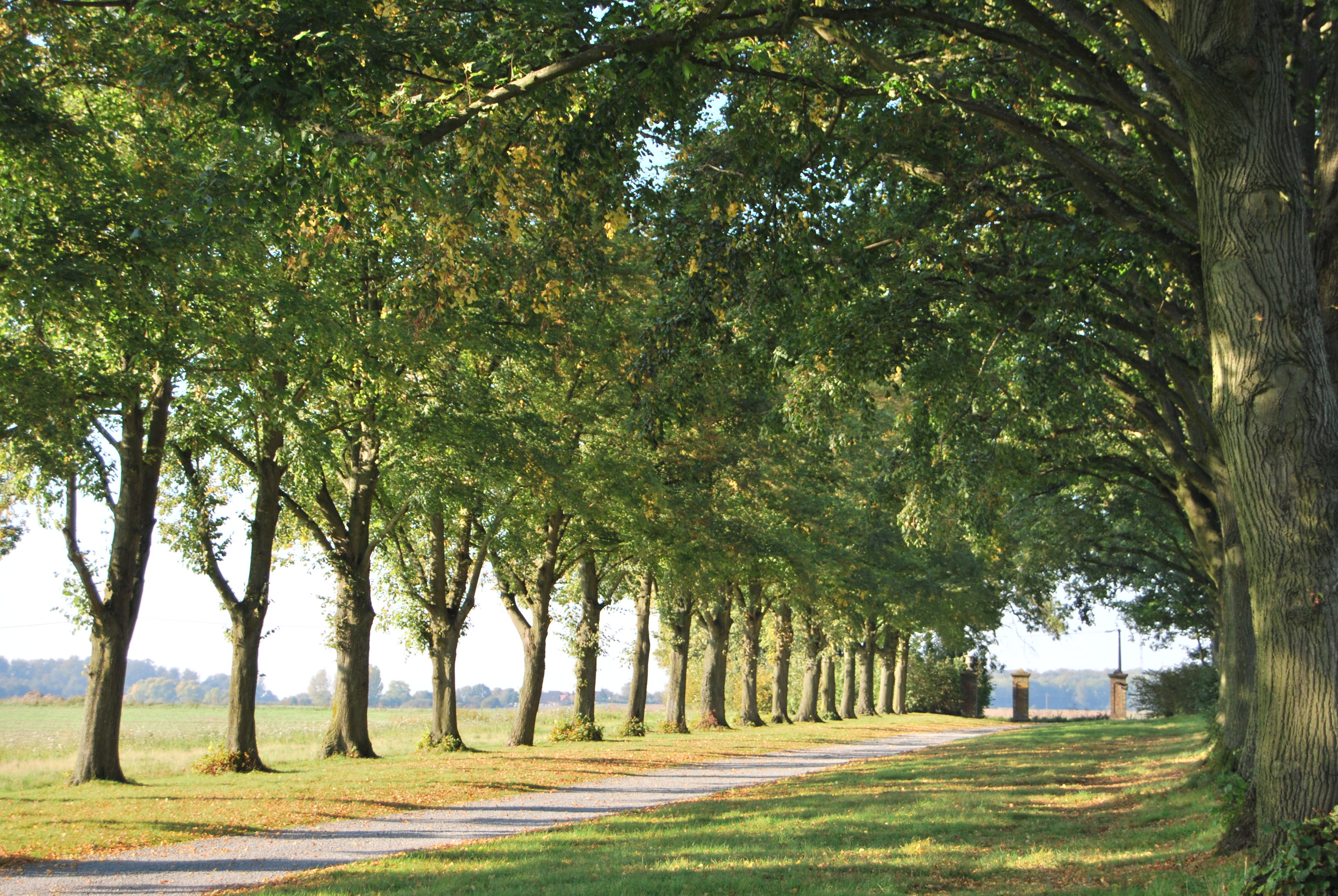 2011 09 29 Chateau d Abaumont 52 