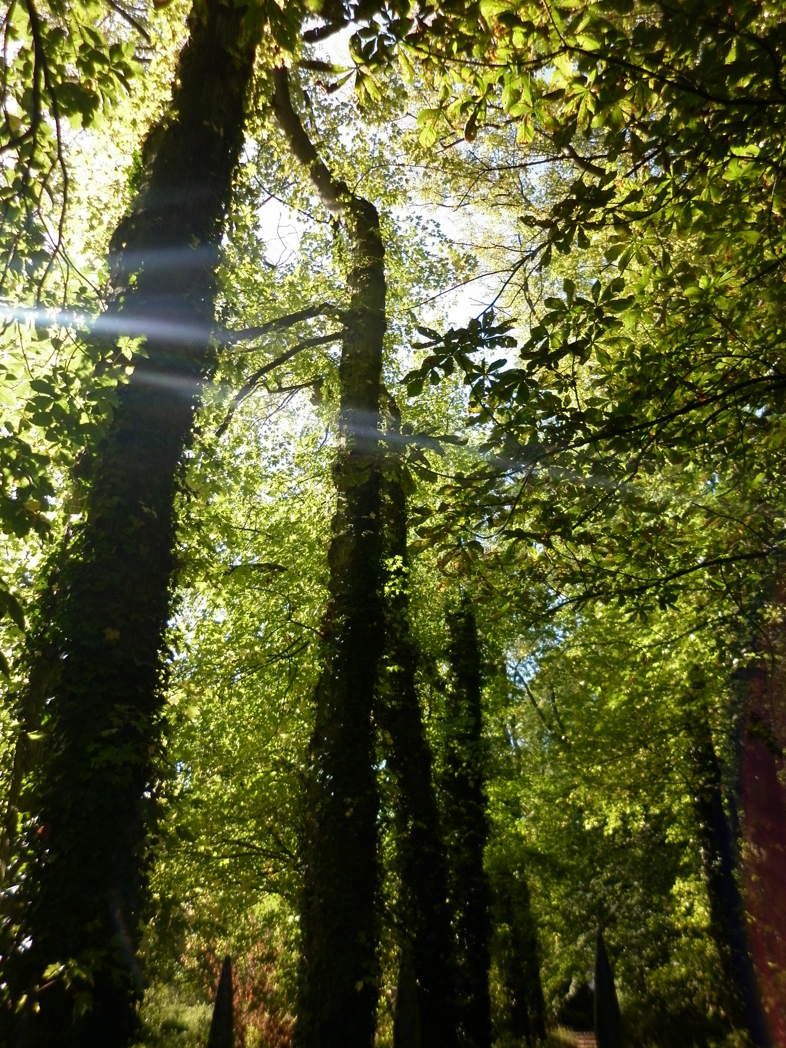Maulde 2011 09 27 Chapelle 42 