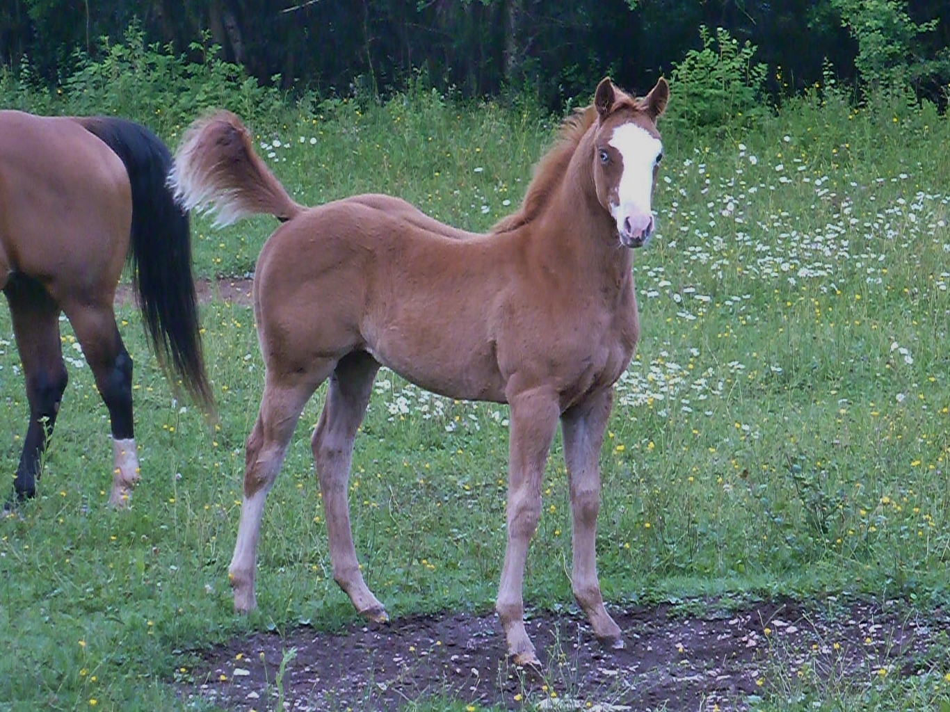 P1050120