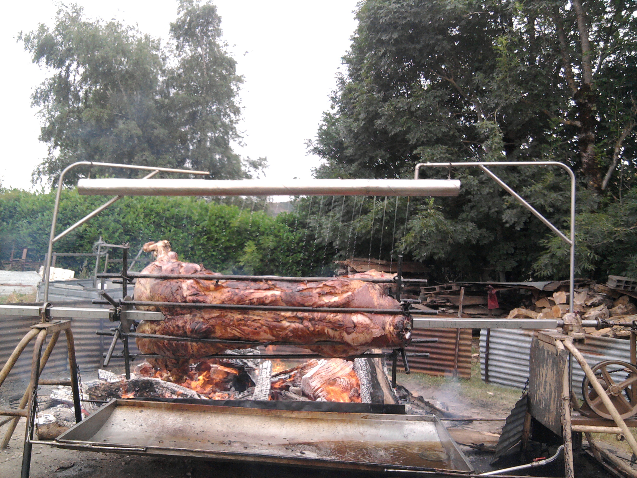 Photo0157