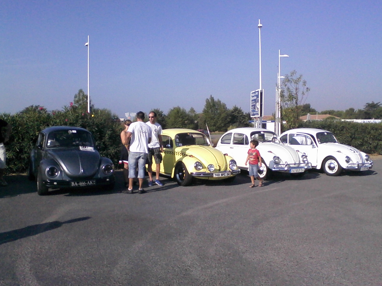Photo 0005
