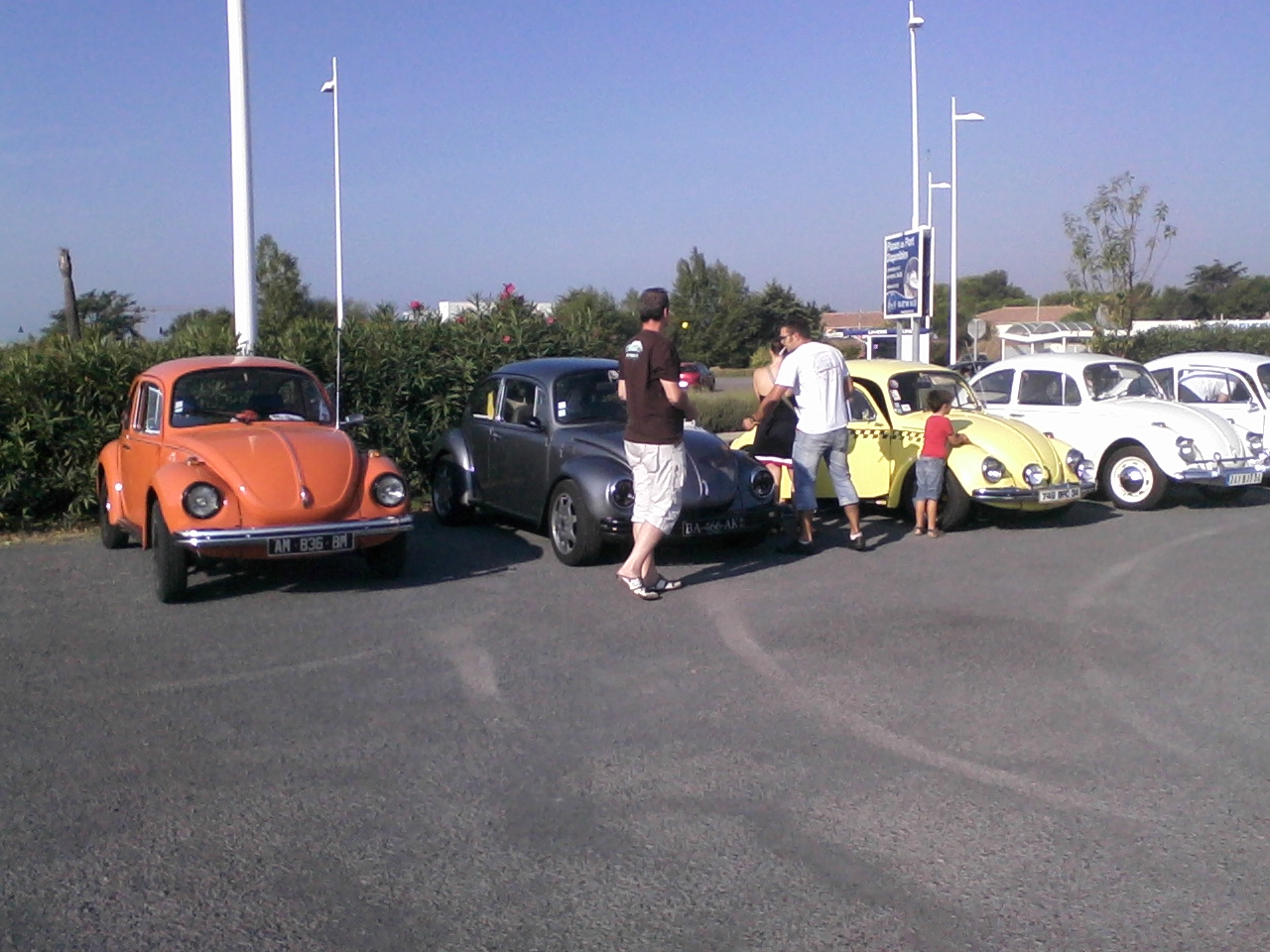 Photo 0006