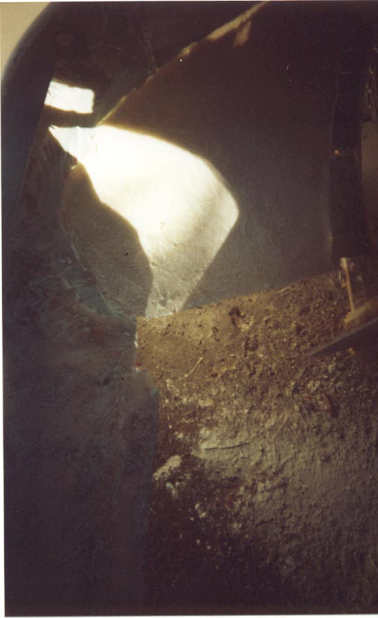 Body 35