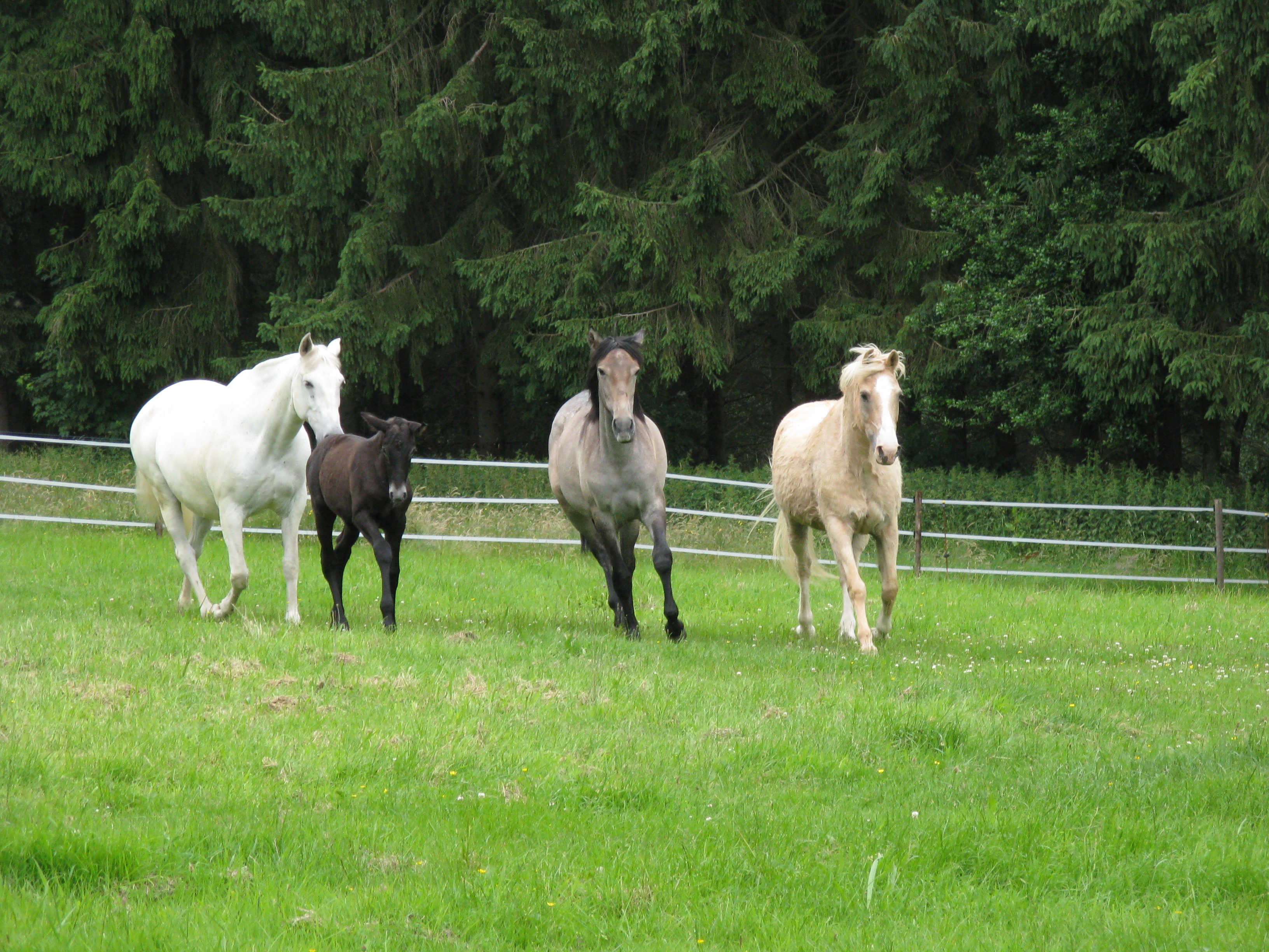 Photo 067