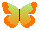 Insecte 001