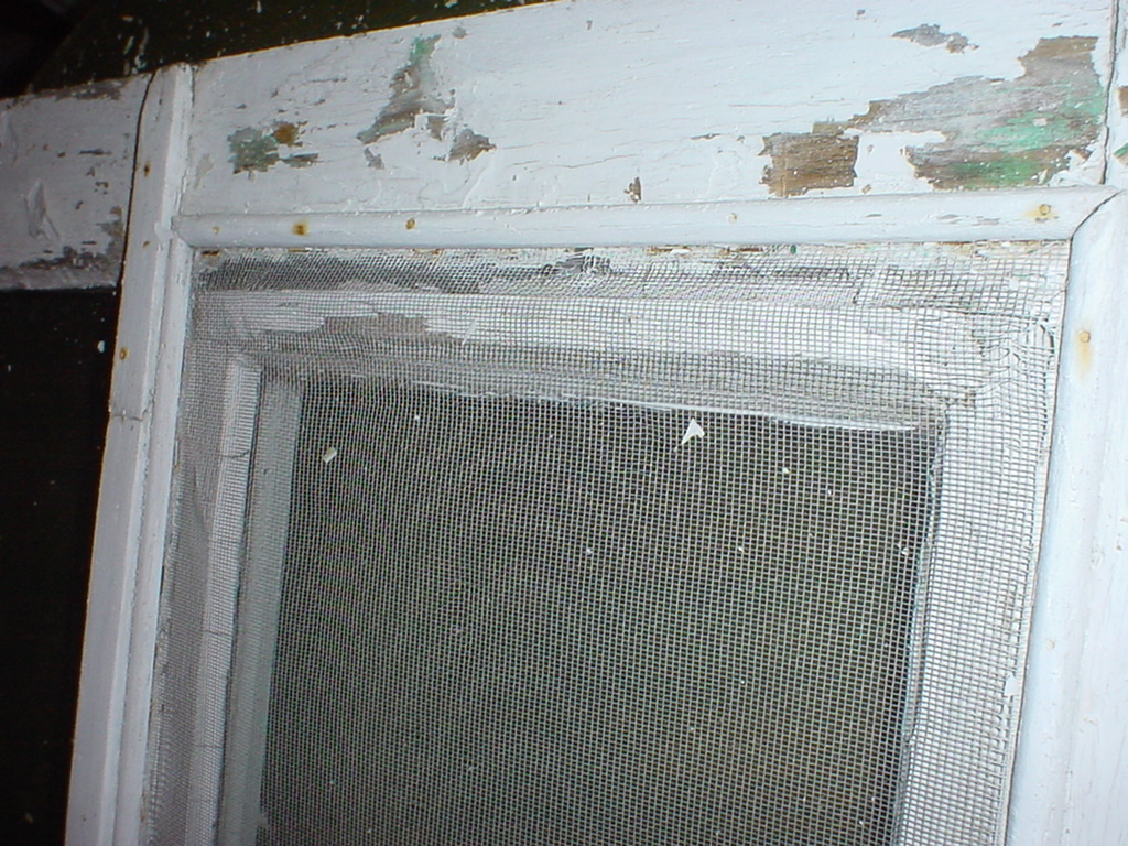 Dsc06701