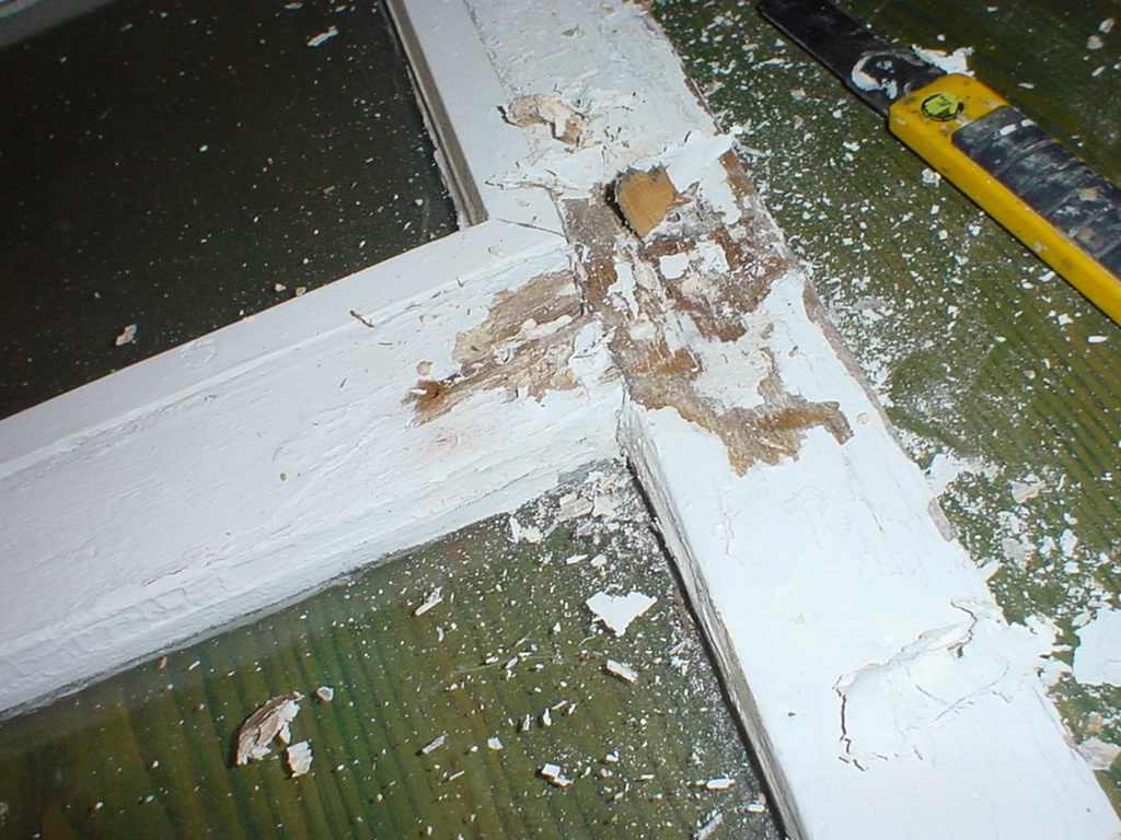 Dsc06720
