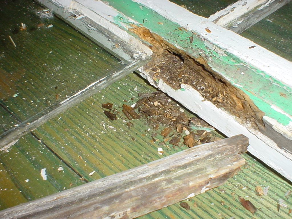 Dsc06734