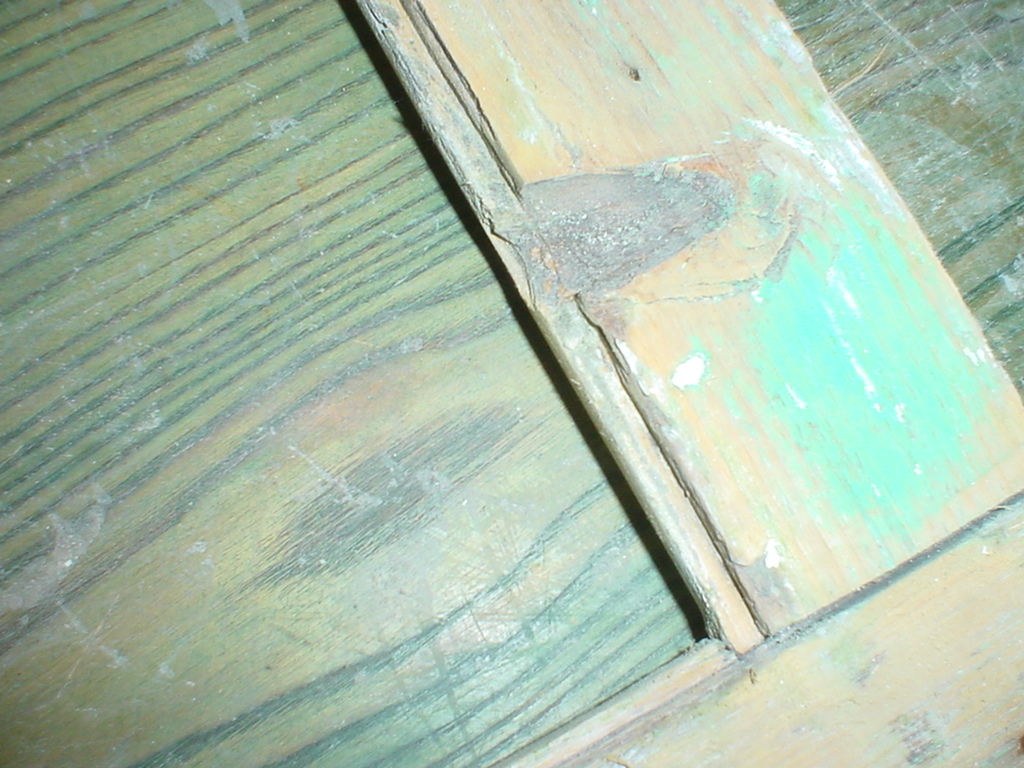 Dsc06771