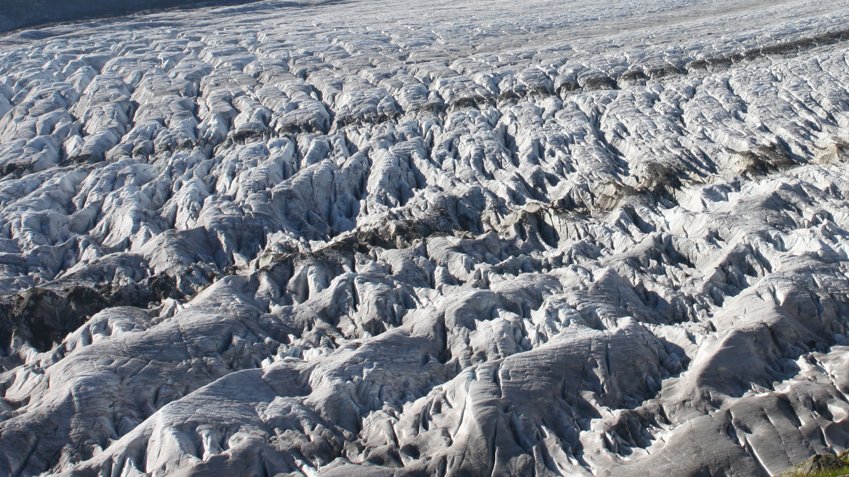 Randonnée au glacier d'Aletsch dans les Alpes suisses