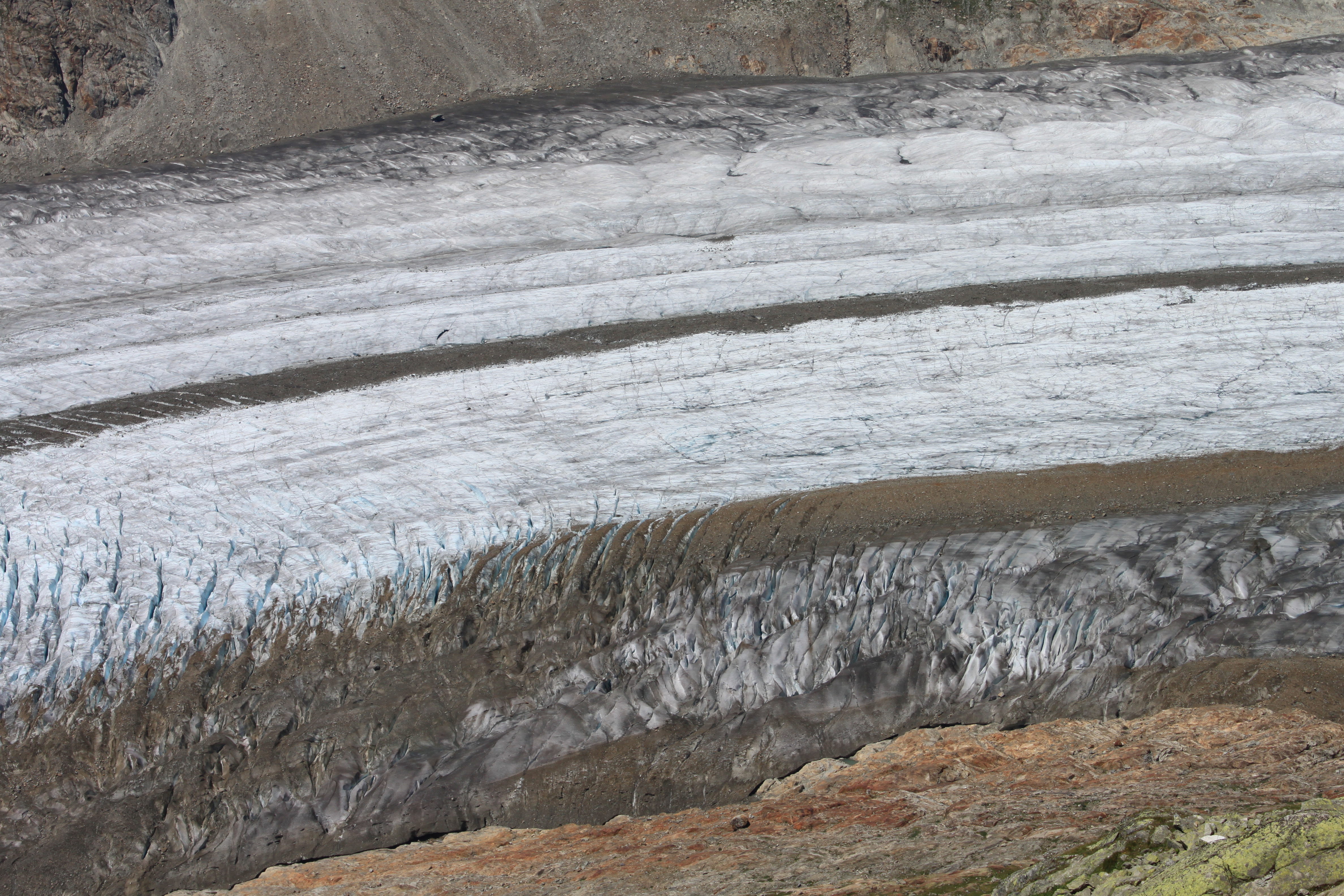 Randonnée au glacier d'Aletsch dans les Alpes suisses