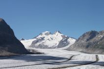 Randonnée au glacier d'Aletsch dans les Alpes suisses