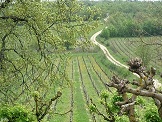 Dscn4979