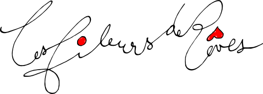Logo site les fileurs de reves
