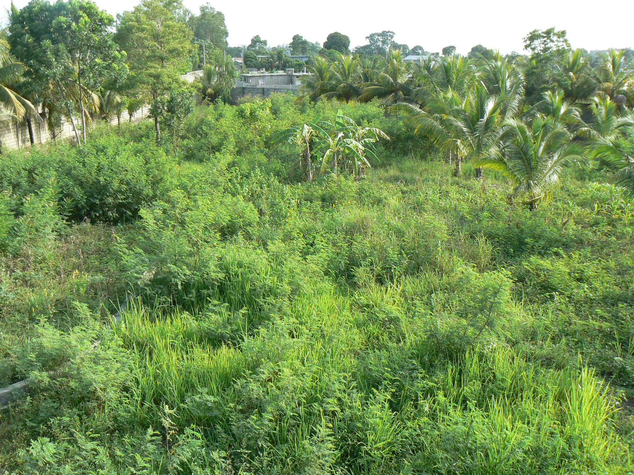 P1040368