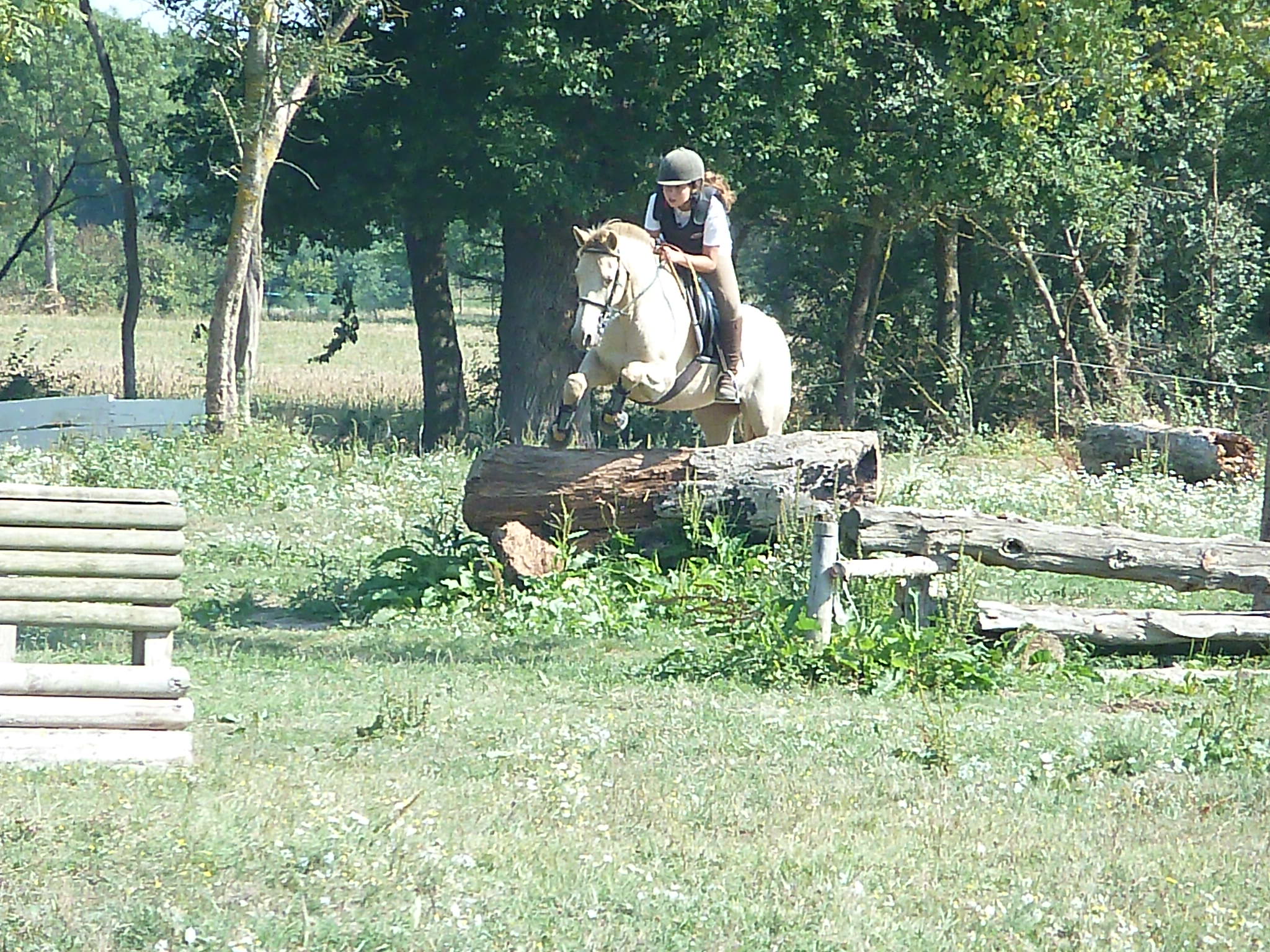 P1030900