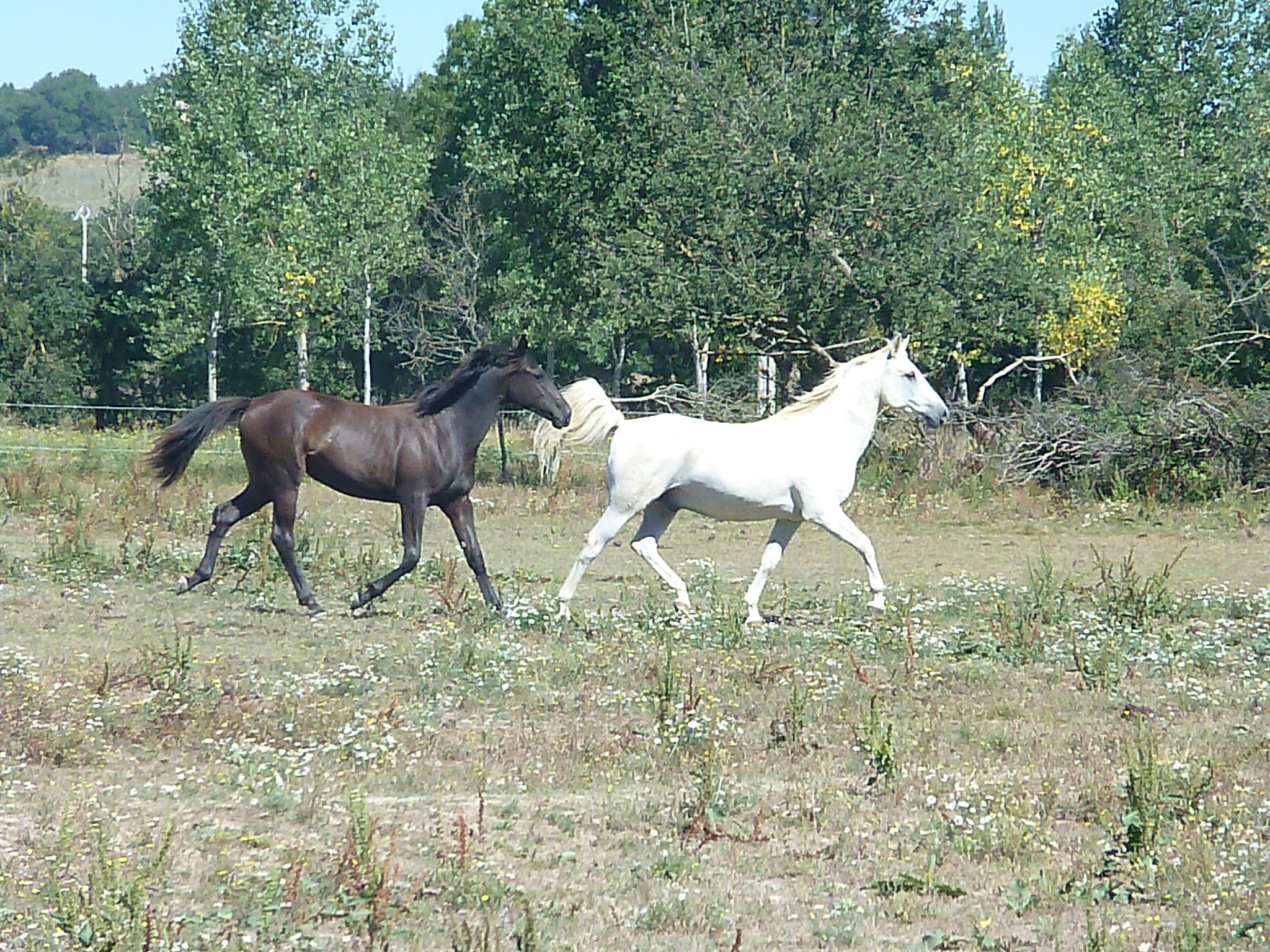 P1040362