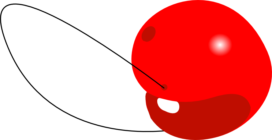 Nez