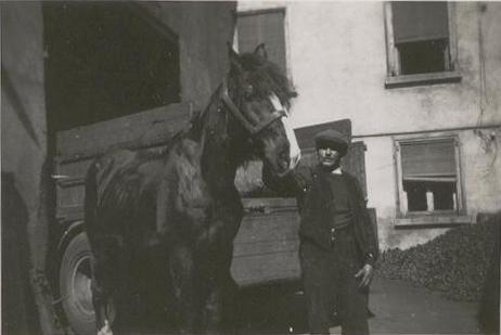 Cheval de transport