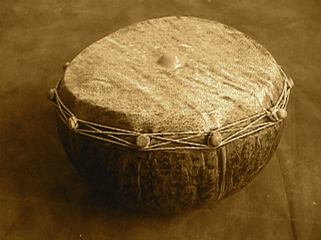Cuica cepia