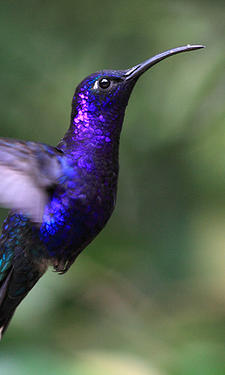 7429e40b460d05ee4f3aeae30e13b52f jpg srz 225 375 75 22 0 50 1 20 0