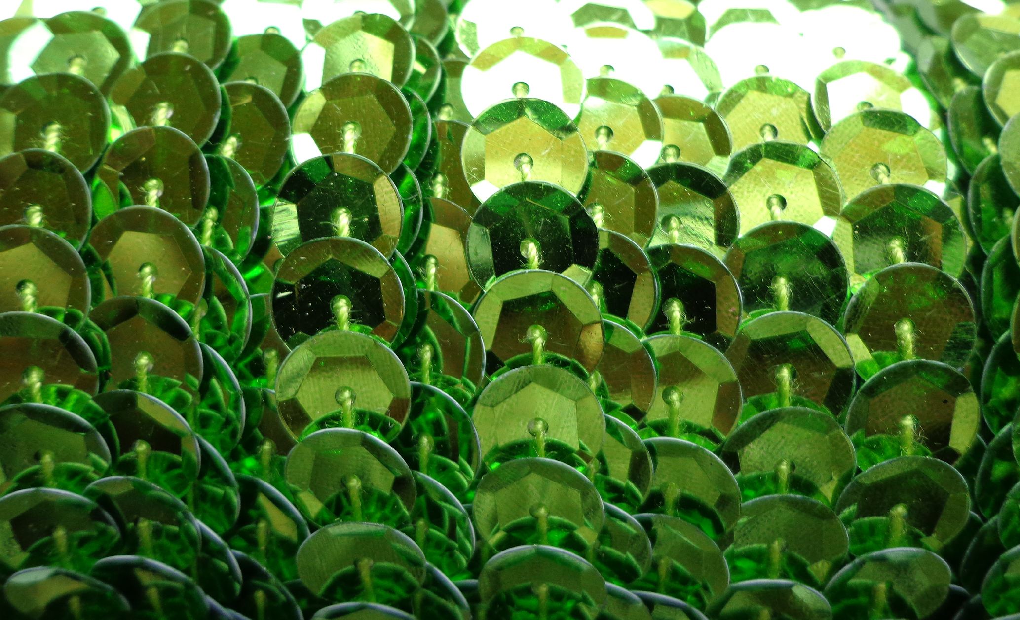 Citron vert