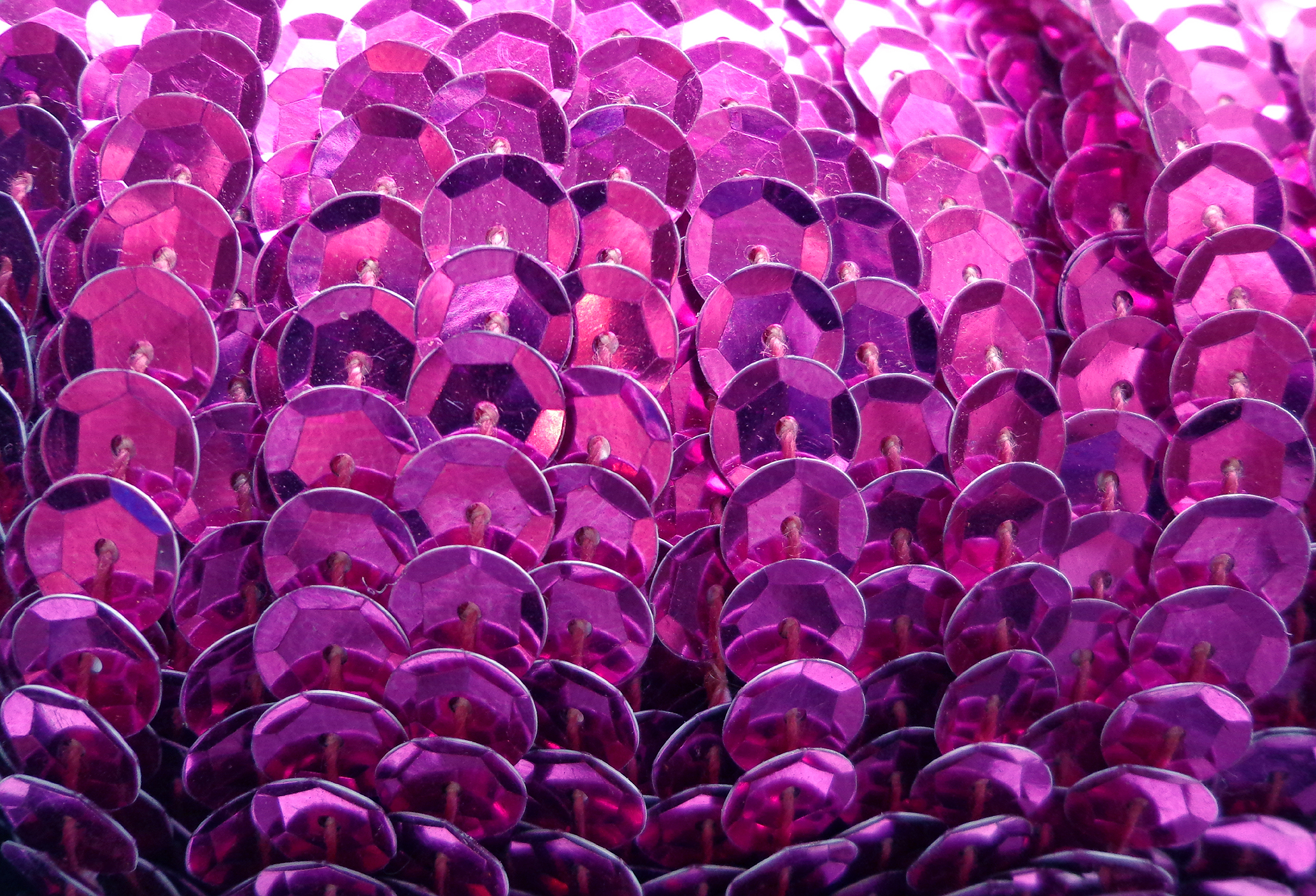 Fuschia